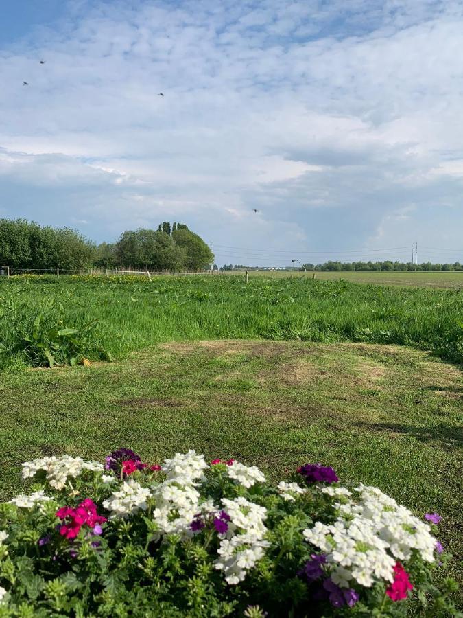 Fields 1216 Bed and Breakfast Zwaanshoek Exteriör bild